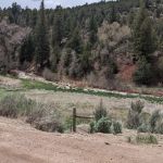 Mugrage Campground, Colorado