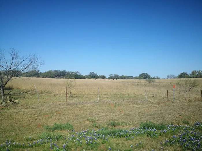Oxford Ranch Campground Picture 3