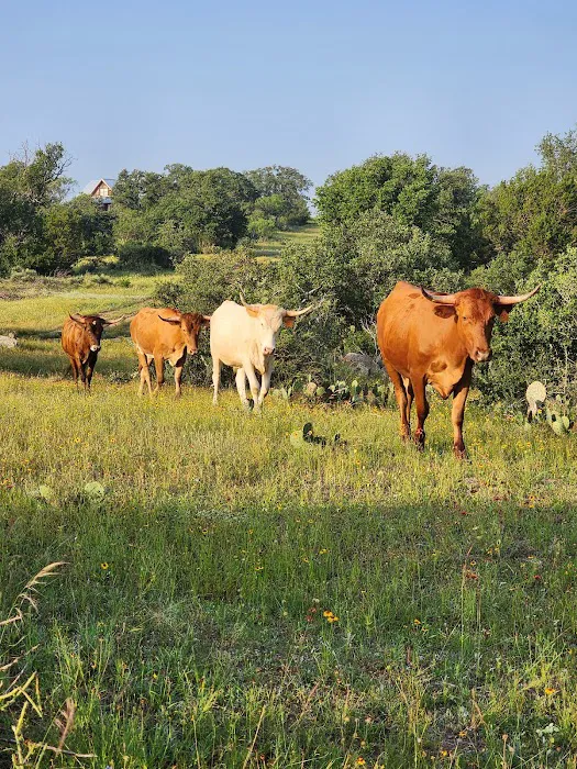 Brown Chicken Brown Cow Ranch Picture 3