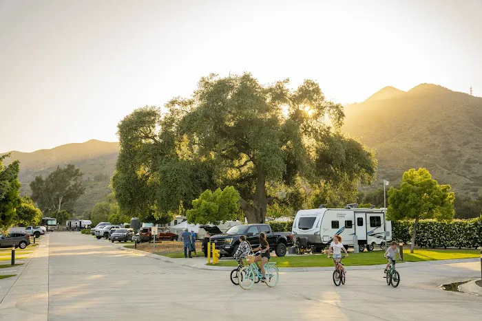 Pala Casino RV Resort Picture 5