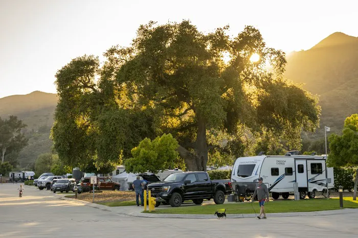 Pala Casino RV Resort Picture 4