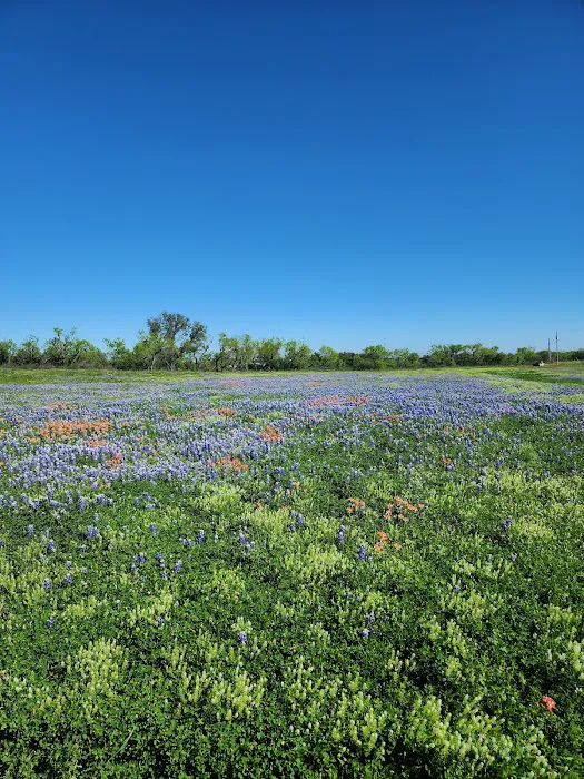 Atomic Ranch Picture 6