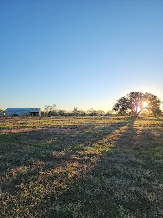 Atomic Ranch Picture 5