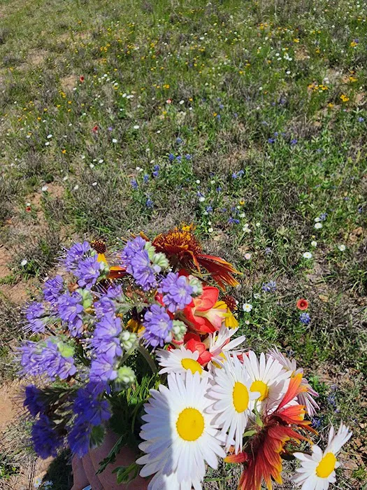 Atomic Ranch Picture 8