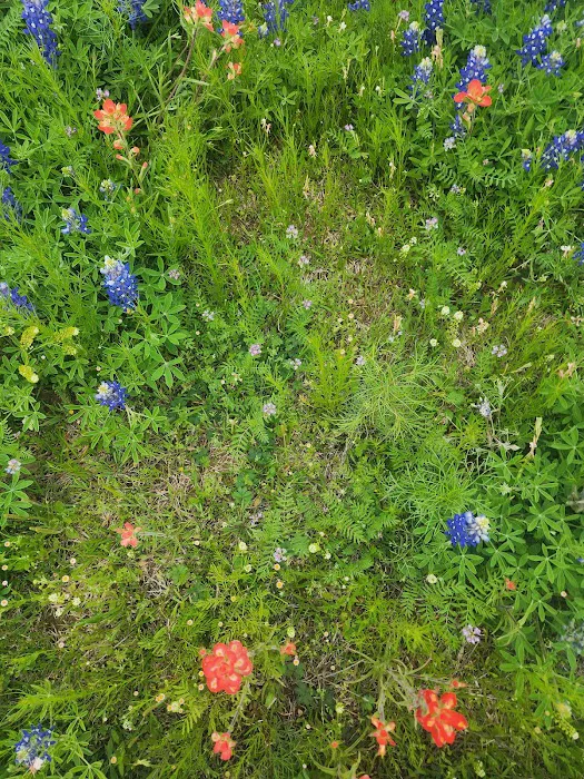 Atomic Ranch Picture 9