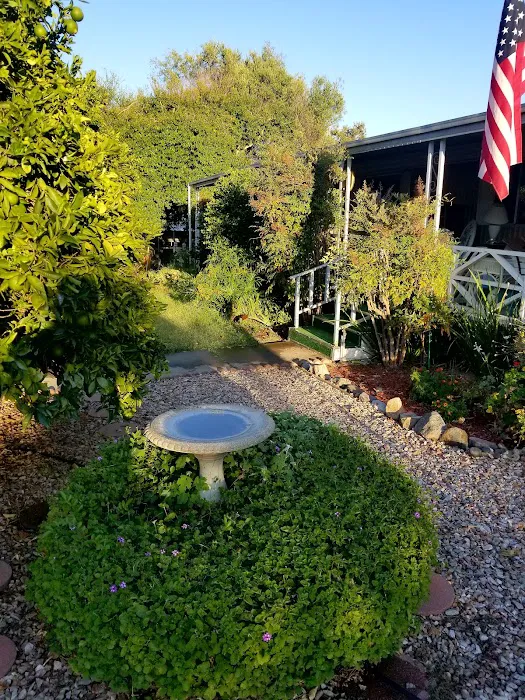 Valley Oaks Mobile Home Park Picture 5