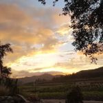 Oak Crest Estates 55+ Community