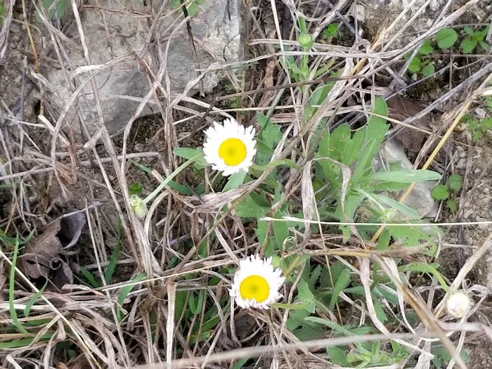 Tejas park Picture 10