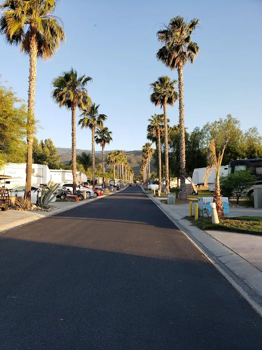 Rancho California RV Resort Picture 8
