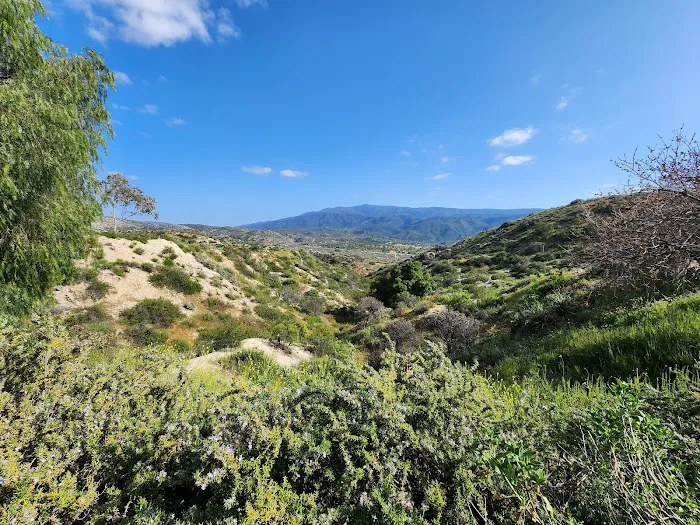 Jojoba Hills SKP Resort Picture 3