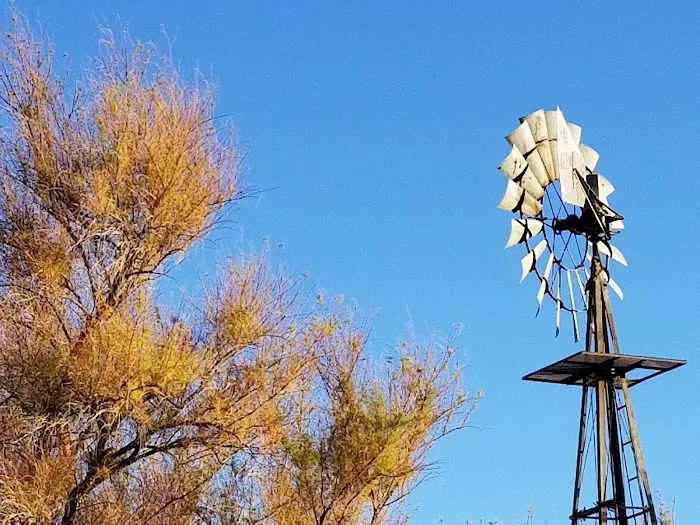 Bosque Birdwatchers RV Park Picture 9