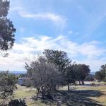 Farm Country Club