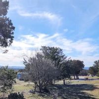Farm Country Club ico