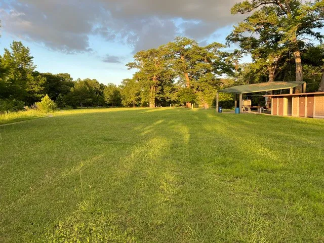 Blue Oak RV Park Picture 5