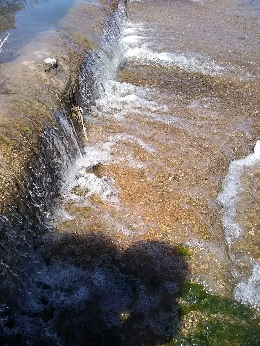 Riverside RV Park Picture 9