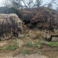 Campsite #005 ico