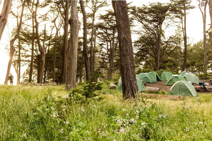 Rob Hill Campground Picture 4