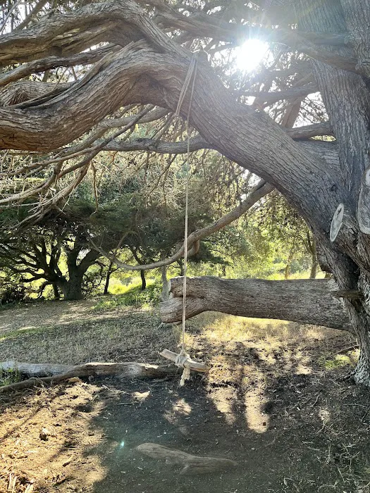 Campsite 5 Picture 7