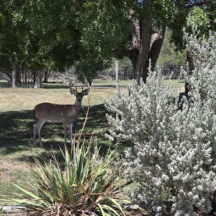 Ingram Lake RV Park Picture 5