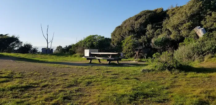Campsite 4 Picture 8