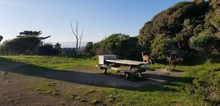 Campsite 4 Picture 10
