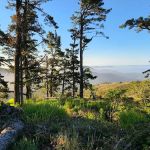 Hawk Campground