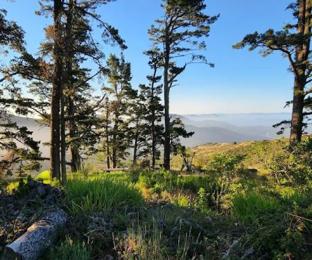 Hawk Campground