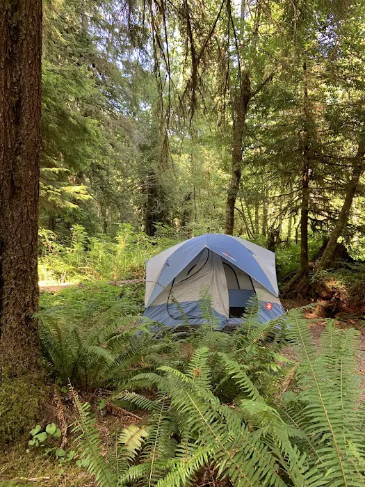 Campbell Tree Grove Campground Picture 3