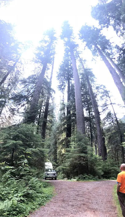 Campbell Tree Grove Campground Picture 4