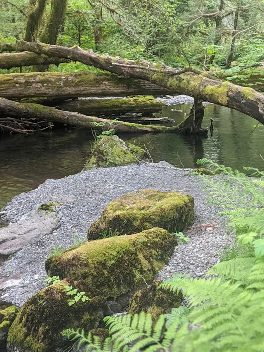 Campbell Tree Grove Campground Picture 5