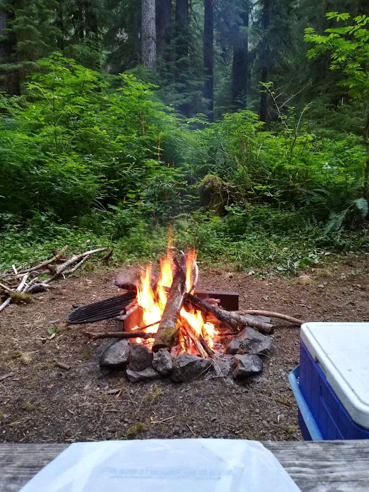 Campbell Tree Grove Campground Picture 7