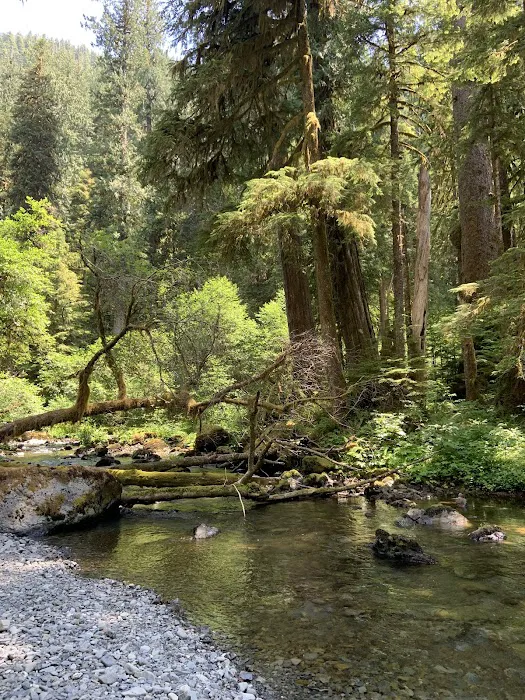 Campbell Tree Grove Campground Picture 6