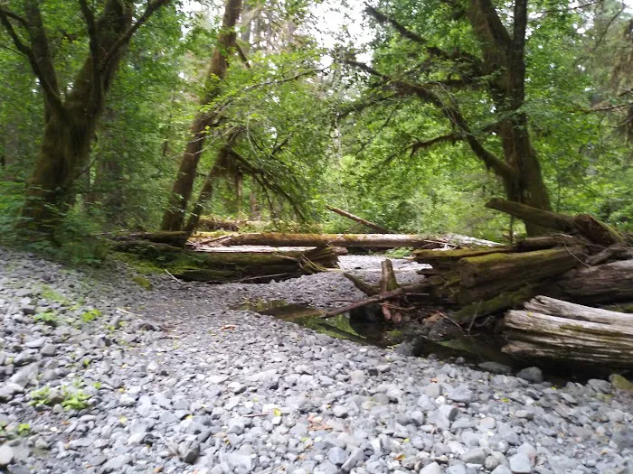 Campbell Tree Grove Campground Picture 8