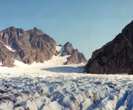 Glacier Meadows