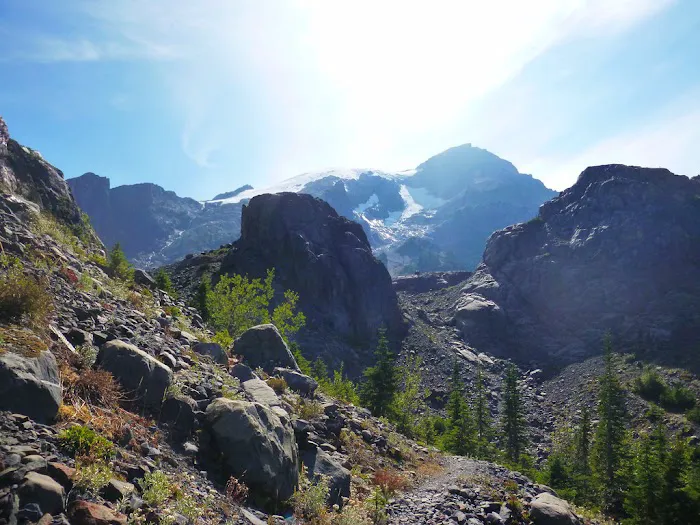 Glacier Meadows Picture 4