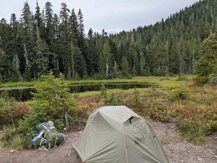Three Lakes Campground, Olympic National Park Picture 1