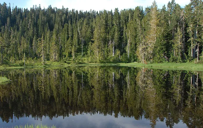 Three Lakes Campground, Olympic National Park Picture 3