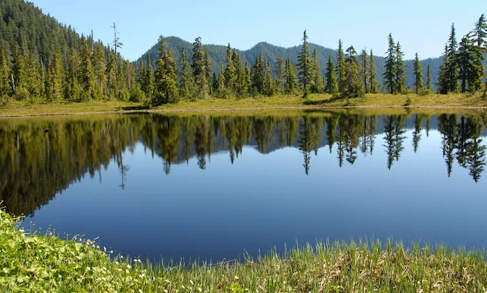 Three Lakes Campground, Olympic National Park Picture 4