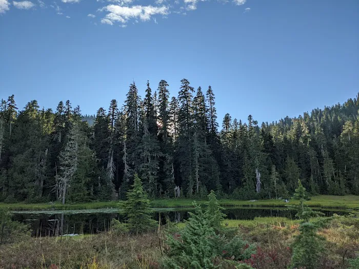 Three Lakes Campground, Olympic National Park Picture 5