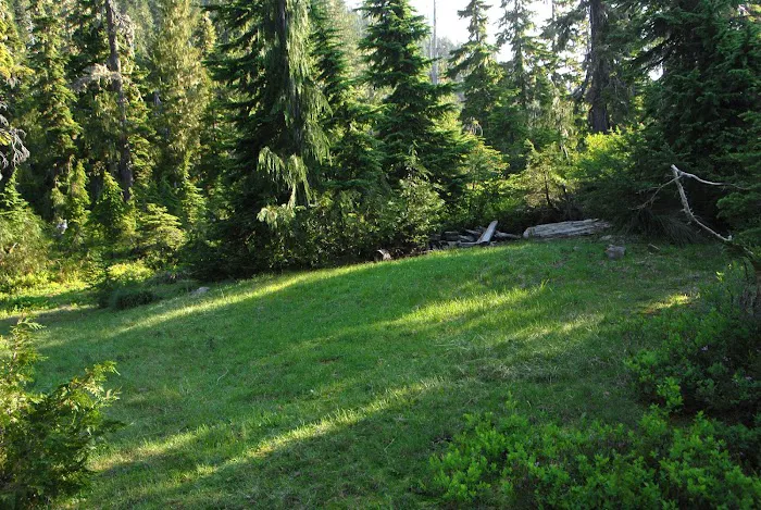 Three Lakes Campground, Olympic National Park Picture 6