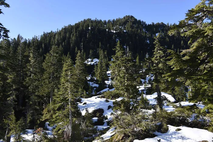 Moonshine Flats Picture 1