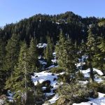Moonshine Flats