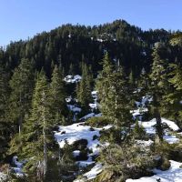 Moonshine Flats ico
