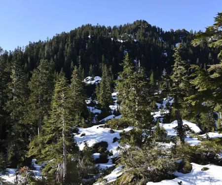 Moonshine Flats