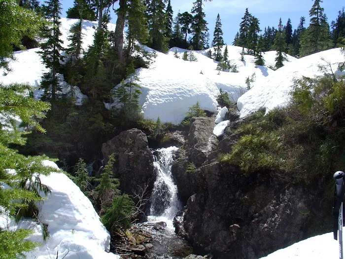 Moonshine Flats Picture 2