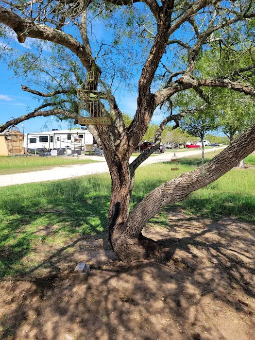 Cissy's RV Ranch Picture 3