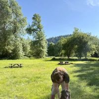 Celtic Elk Campground ico