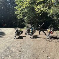 Forest Road 25 ico
