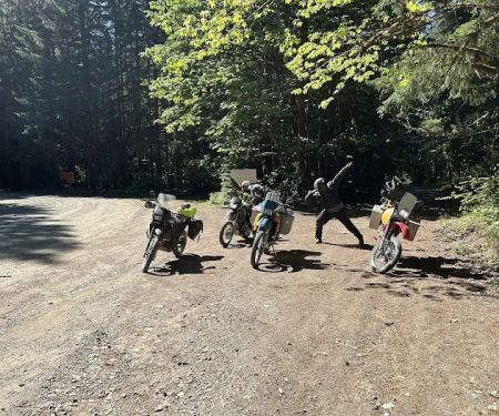 Forest Road 25