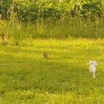 Rivercrest RV Park